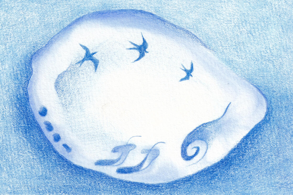 Abolone, Watercolor and colored pencil on paper, 2026